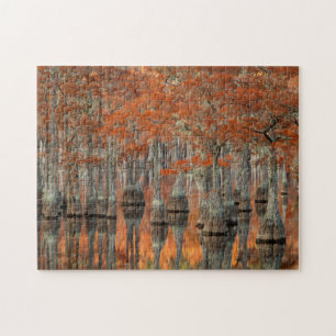 Cypress Trees   George Smith State Park, Georgia Legpuzzel