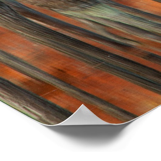 Cypress Trees | George Smith State Park, Georgia Poster (Hoek)