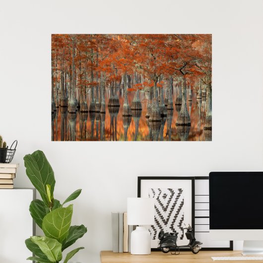 Cypress Trees | George Smith State Park, Georgia Poster (Thuiskantoor)
