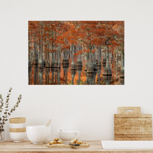 Cypress Trees | George Smith State Park, Georgia Poster (Keuken)