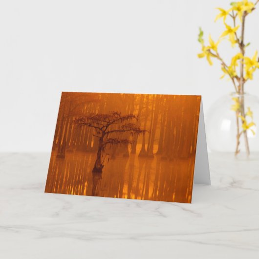 Cypress Trees | George Smith State Park Kaart (Gele Bloem)