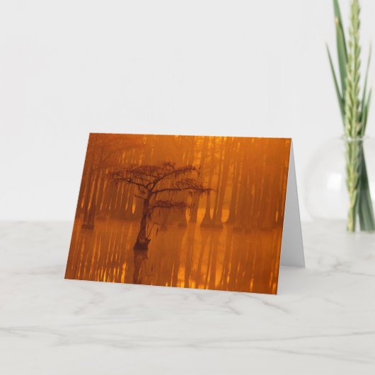 Cypress Trees | George Smith State Park Kaart (Voorkant)