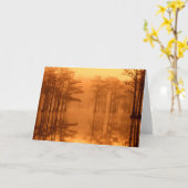 Cypress Trees George Smith State Park Kaart (Gele Bloem)