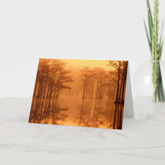 Cypress Trees George Smith State Park Kaart (Voorkant)