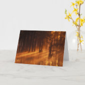 Cypress Trees | George Smith State Park Kaart (Gele Bloem)