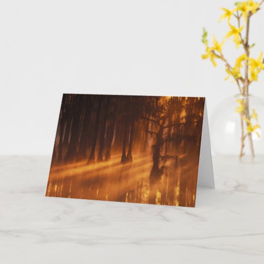 Cypress Trees | George Smith State Park Kaart (Gele Bloem)