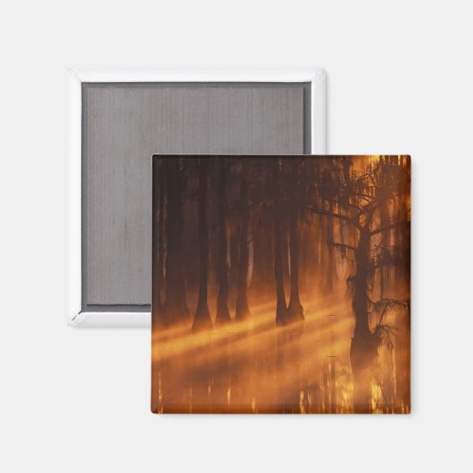 Cypress Trees | George Smith State Park Magneet (Voorkant / Achterkant)