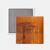 Cypress Trees | George Smith State Park Magneet (Voorkant / Achterkant)