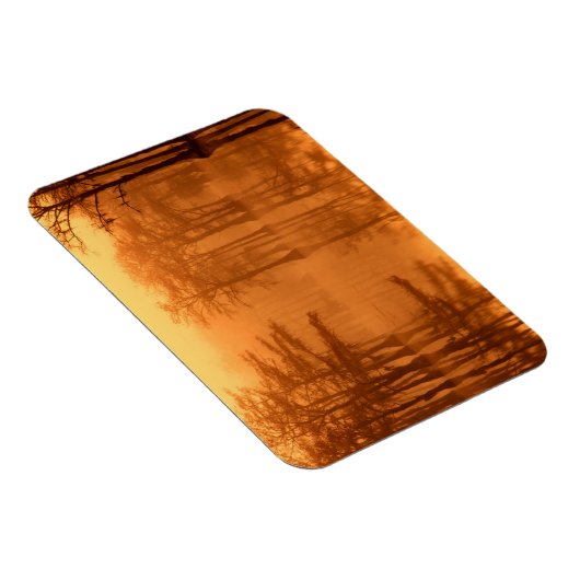 Cypress Trees George Smith State Park Magneet (Rechterzijde)