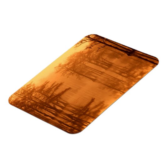 Cypress Trees George Smith State Park Magneet (Linkerzijde)