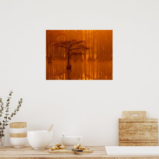 Cypress Trees | George Smith State Park Poster (Keuken)