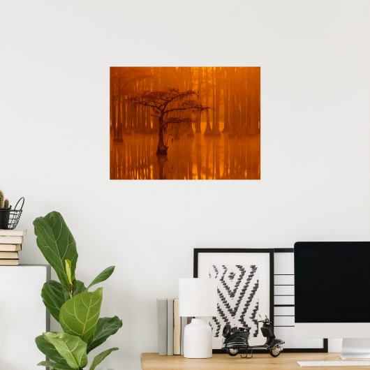 Cypress Trees | George Smith State Park Poster (Thuiskantoor)