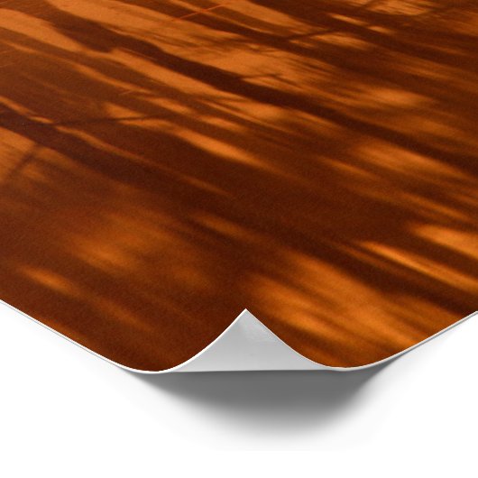 Cypress Trees George Smith State Park Poster (Hoek)