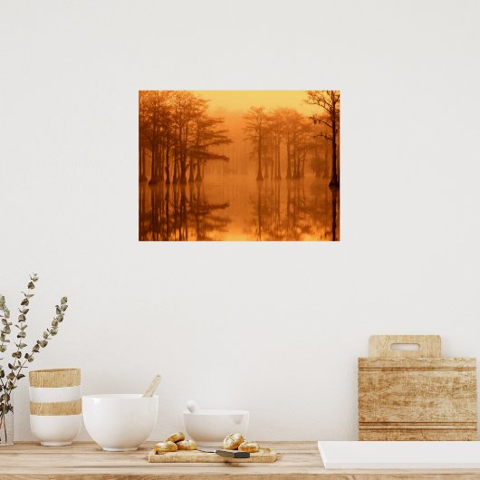 Cypress Trees George Smith State Park Poster (Keuken)