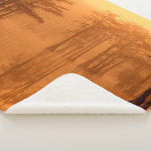 Cypress Trees George Smith State Park Sherpa Deken (3/4)