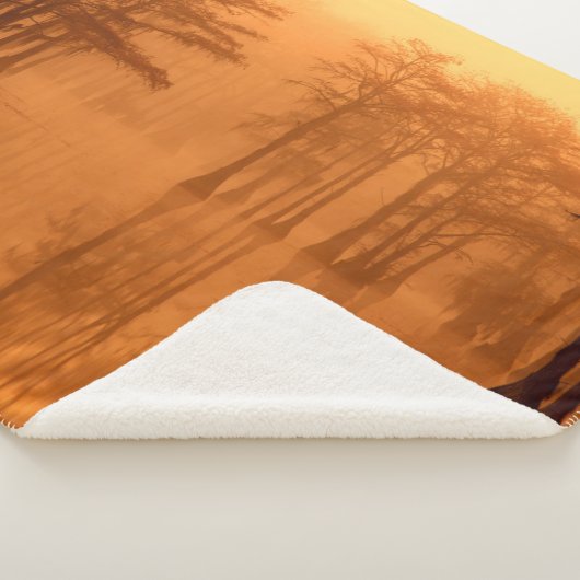 Cypress Trees George Smith State Park Sherpa Deken (3/4)