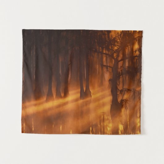 Cypress Trees | George Smith State Park Wandkleed (Voorkant (horizontaal))