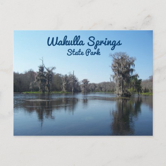 Cypress Trees in Wakulla Springs State Park Briefkaart (Voorkant)