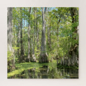 Cypress Trees Legpuzzel (Verticaal)