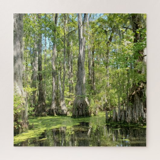 Cypress Trees Legpuzzel (Verticaal)