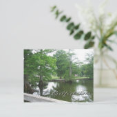 Cypress Trees op het meer van Reelfoot Briefkaart (Staand voorkant)