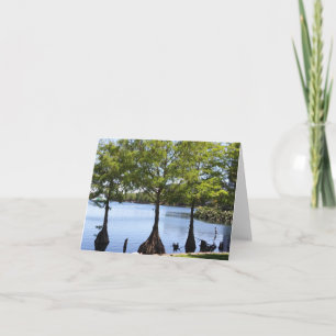 Cypress Trees Photo Folded Note Kaart