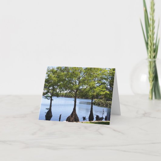 Cypress Trees Photo Folded Note Kaart (Voorkant)