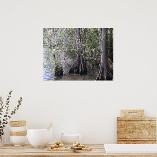 Cypress Trees Poster (Keuken)