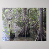Cypress Trees Poster (Voorkant)