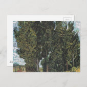 Cypress Trees van Van Gogh Briefkaart (Voorkant / Achterkant)