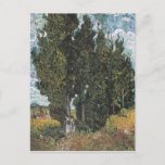 Cypress Trees van Van Gogh Briefkaart<br><div class="desc">Vincent Van Gogh Landscape Painting Series - Cypress Trees</div>