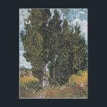 Cypress Trees van Van Gogh Briefkaart<br><div class="desc">Vincent Van Gogh Landscape Painting Series - Cypress Trees</div>