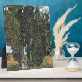 Cypress Trees van Van Gogh Fotoplaat (Zijkant)