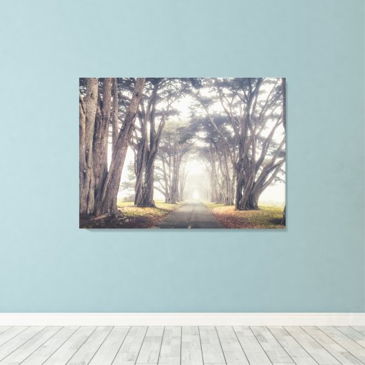Cypress Tunnel in Mist Canvas Afdruk (Insitu (Houten vloer))