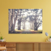 Cypress Tunnel in Mist Canvas Afdruk (Insitu (Woonkamer))