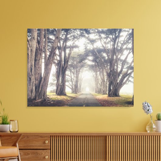 Cypress Tunnel in Mist Canvas Afdruk (Insitu (Woonkamer))