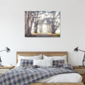 Cypress Tunnel in Mist Canvas Afdruk (Insitu (Slaapkamer))