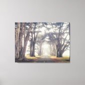 Cypress Tunnel in Mist Canvas Afdruk (Voorkant)