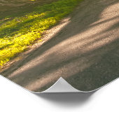 Cypress Tunnel Poster (Hoek)