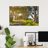 Cypress Tunnel Poster (Thuiskantoor)