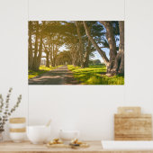 Cypress Tunnel Poster (Keuken)