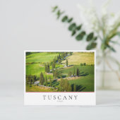 Cypress-wikkelweg in Toscane, Italië Briefkaart (Staand voorkant)