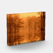 Cypressbomen George Smith State Park Fotoblokken (Links)