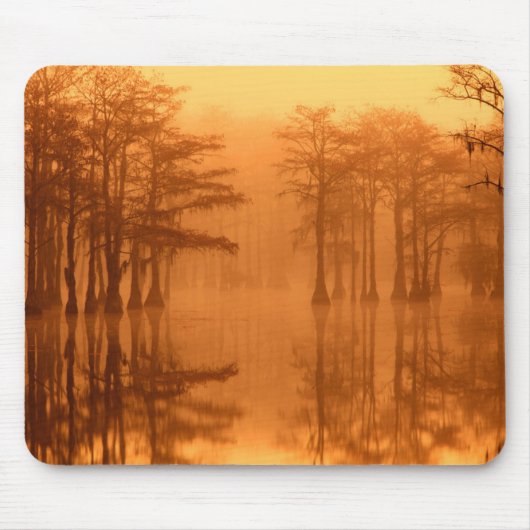 Cypressbomen George Smith State Park Muismat (Voorkant)