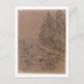 Cypresses four working, Van Gogh Fine Art Briefkaart (Voorkant)