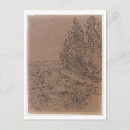 Cypresses four working, Van Gogh Fine Art Briefkaart (Voorkant)