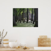 CypressSwampView Poster (Keuken)