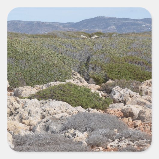 Cypriotische landschapsStickers Vierkante Sticker (Voorkant)