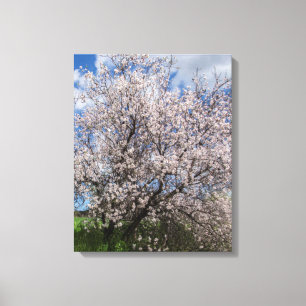 Cypriotische natuur landschapsveer almond beautif canvas afdruk