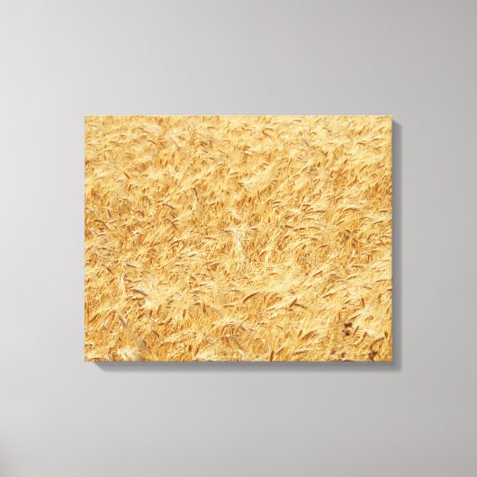 Cypriotische zomervelden canvas afdruk (Voorkant)